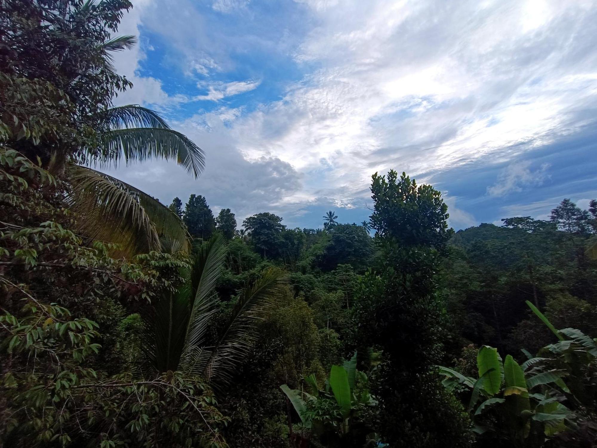 Artomoro Bali Otel Munduk Dış mekan fotoğraf